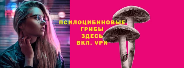 герыч Майский