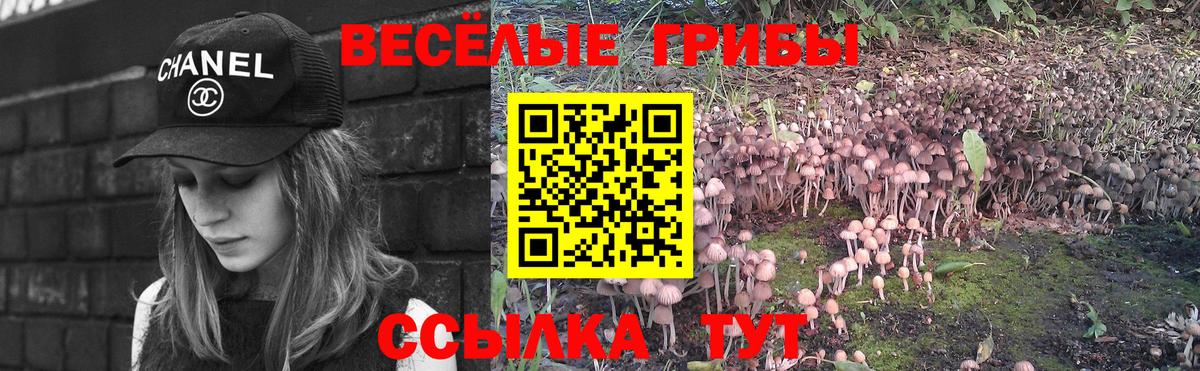 Галлюциногенные грибы Magic Shrooms Ангарск