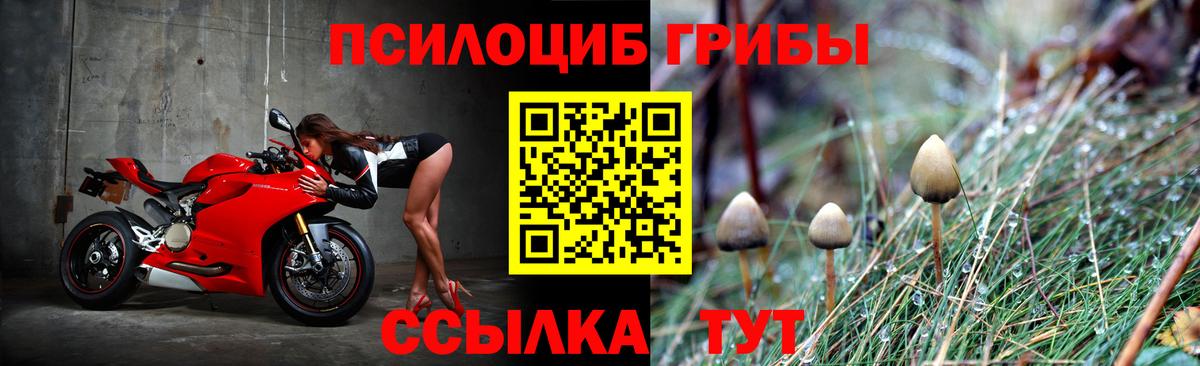 Псилоцибиновые грибы прущие грибы  Вход с VPN  где продают наркотики  Ангарск 